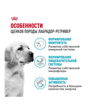 ROYAL CANIN Dog food dry Labrador Retriever for puppies 3 kg - Buy Online on GoSupps.com