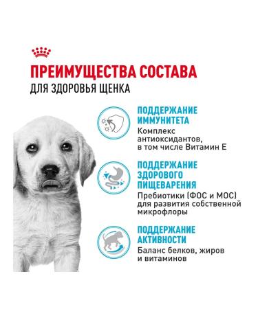 ROYAL CANIN Dog food dry Labrador Retriever for puppies 3 kg - Buy Online on GoSupps.com