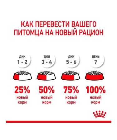 ROYAL CANIN Feed for kittens and cats dry Mother & Babycat 2 kg - Buy Online on GoSupps.com