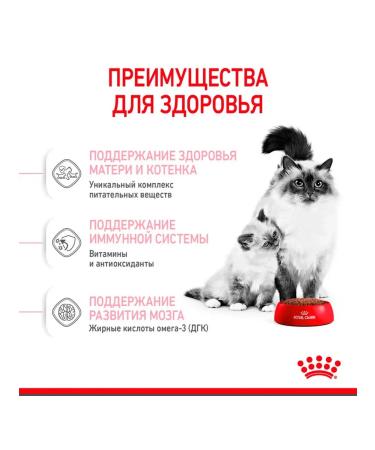 ROYAL CANIN Feed for kittens and cats dry Mother & Babycat 2 kg - Buy Online on GoSupps.com