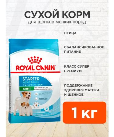 ROYAL CANIN Feed for puppies of small breeds of dry Mini Starter 1 kg