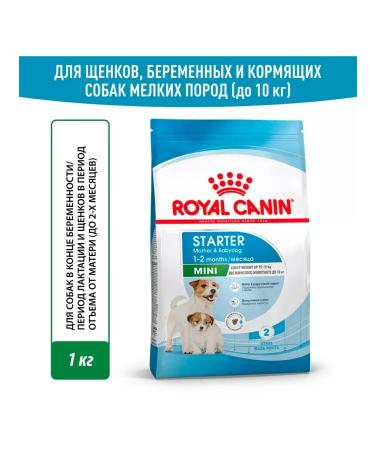 ROYAL CANIN Feed for puppies of small breeds of dry Mini Starter 1 kg - Buy Online on GoSupps.com