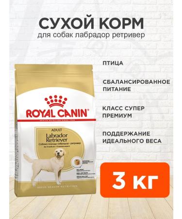 ROYAL CANIN Dog food dry Labrador Retriever 3 kg