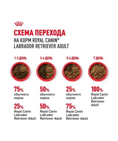 ROYAL CANIN Dog food dry Labrador Retriever 3 kg - Buy Online on GoSupps.com