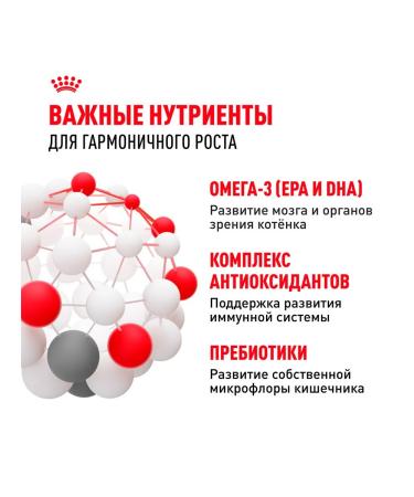 ROYAL CANIN Kitten Kitten 36 2 kg - Buy Online on GoSupps.com