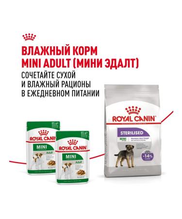 ROYAL CANIN Dry food for dogs of small breeds mini sterilized 3 kg - Buy Online on GoSupps.com