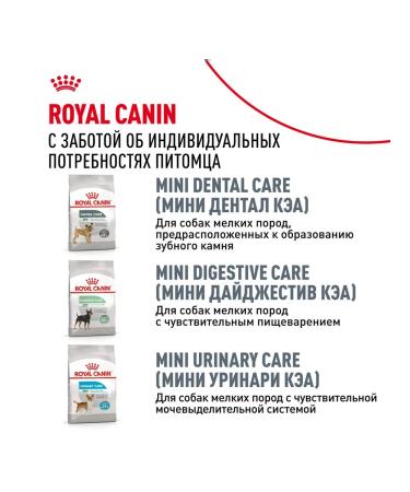 ROYAL CANIN Dry food for dogs of small breeds mini sterilized 3 kg - Buy Online on GoSupps.com