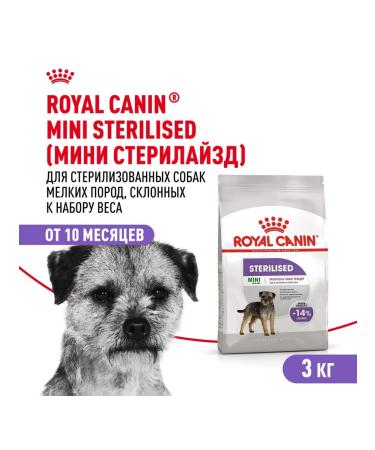 ROYAL CANIN Dry food for dogs of small breeds mini sterilized 3 kg - Buy Online on GoSupps.com