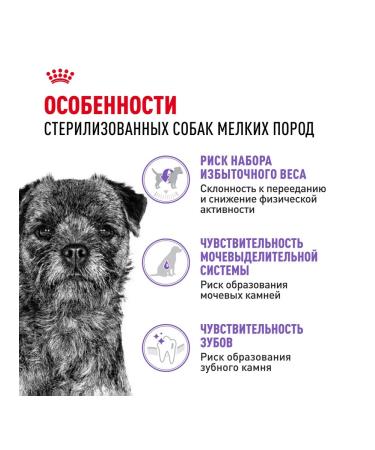 ROYAL CANIN Dry food for dogs of small breeds mini sterilized 3 kg - Buy Online on GoSupps.com