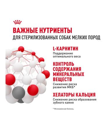 ROYAL CANIN Dry food for dogs of small breeds mini sterilized 3 kg - Buy Online on GoSupps.com