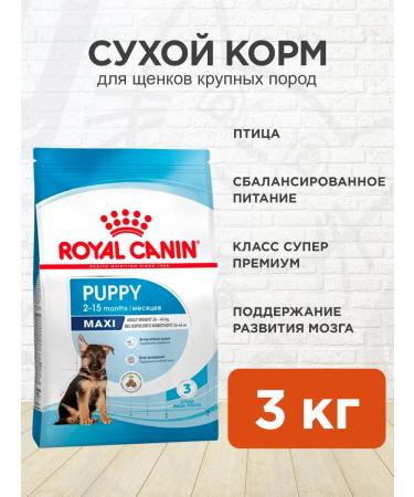 ROYAL CANIN Dog food dry maxi puppy for puppies 3 kg
