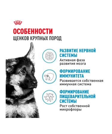 ROYAL CANIN Dog food dry maxi puppy for puppies 3 kg - Buy Online on GoSupps.com