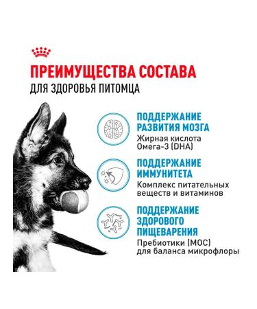 ROYAL CANIN Dog food dry maxi puppy for puppies 3 kg - Buy Online on GoSupps.com