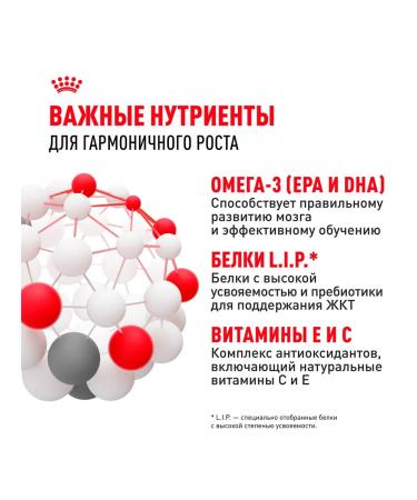 ROYAL CANIN Dog food dry maxi puppy for puppies 3 kg - Buy Online on GoSupps.com