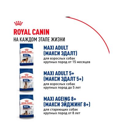 ROYAL CANIN Dog food dry maxi puppy for puppies 3 kg - Buy Online on GoSupps.com