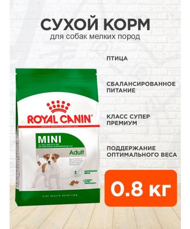 ROYAL CANIN Dry food for dogs of small breeds Mini Adult 0.8 kg