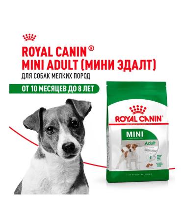 ROYAL CANIN Dry food for dogs of small breeds Mini Adult 0.8 kg - Buy Online on GoSupps.com