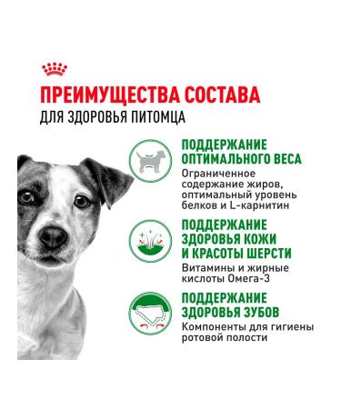 ROYAL CANIN Dry food for dogs of small breeds Mini Adult 0.8 kg - Buy Online on GoSupps.com