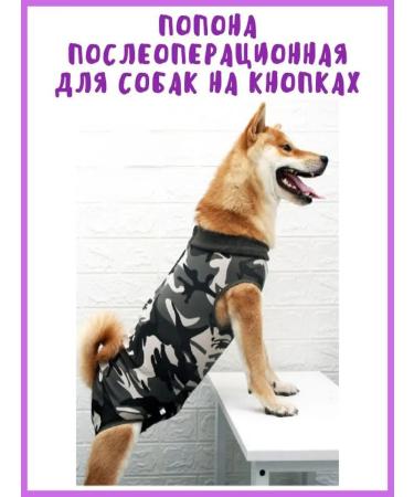 Dogs & Cats Popon postoperative for dogs