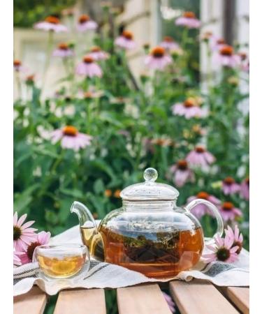 Herbs of the Crimean Mountains Echinacea grass phytochay dried herbal tea for immunity - Buy Online on GoSupps.com