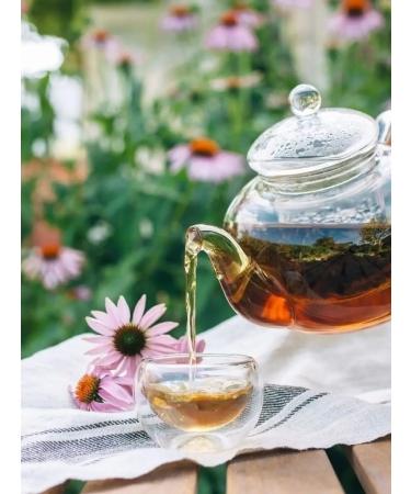 Herbs of the Crimean Mountains Echinacea grass phytochay dried herbal tea for immunity - Buy Online on GoSupps.com
