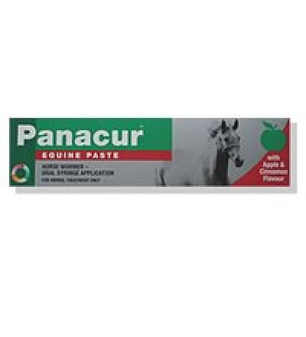 Panacur Equine Apple & Cinnamon (24g)