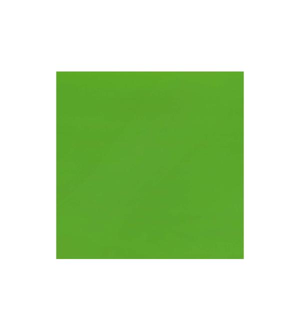 Vinyl 12x12 Sheet Perm Adh Gloss 12pc LimeGreenUPC