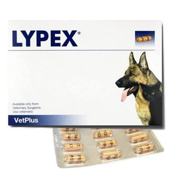 Lypex Pancreatic Enzyme Capsules for Dogs (Pack of 60)