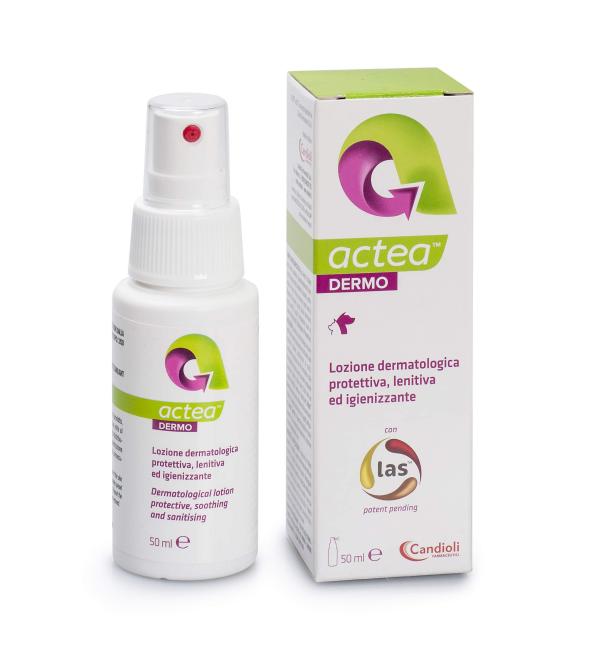 ACTEA DERMO 50ML