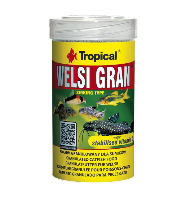WELSI Gran 100ml / 65g - Granulated food for Catfish