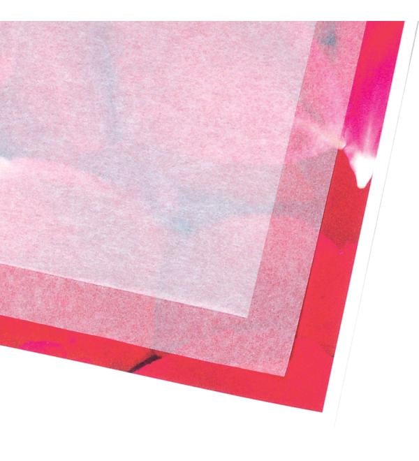 Lineco Archiaval Tissue Paper  100 Sheets 8.5 x 11 Unbuffered Acid Free Digital Interleaving Tissue for Protecting and Seperating Prints  Documents  Letters  Newspapers  and Magazines 8.5x11 White