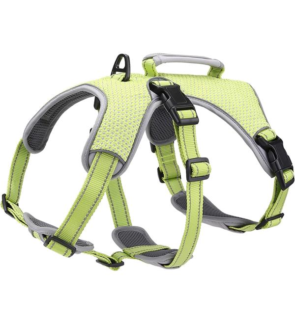 BELPRO Dog Harness No Pull XL Green - Buy Online on GoSupps.com