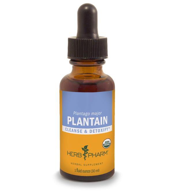 Herb Pharm Organic Plantain Liquid Extract - 1 Ounce for Detox & Cleansing (DPLAN01) - Buy Online on GoSupps.com