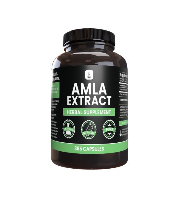 PURE ORIGINAL INGREDIENTS Amla Extract 365ct - Buy Online on GoSupps.com