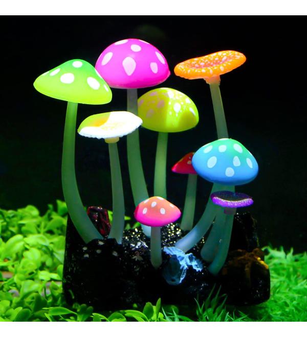 Uniclife Glowing Mushroom Aquarium Plant - Buy Online on GoSupps.com