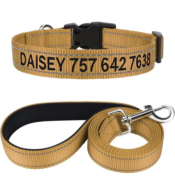 TagME Dog Collar Leash XL Khaki - Buy Online on GoSupps.com