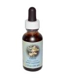 Olive Flower Essence 1 fl oz - Flower Essence Services for Stress Relief & Emotional Balance - Buy Online on GoSupps.com