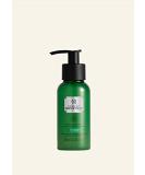 THE BODY SHOP - Youth Liquid Peel FOR SKIN GENTLY EXFOLIATES AND PEELS 100 ml Liquid - Buy Online on GoSupps.com