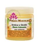 Arnica & Ocote Muscle Ointment 140g | Calming Relief for Pain | Florigan - Buy Internationally - Buy Online on GoSupps.com