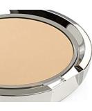 Chantecaille Bamboo Compact Powder Foundation - 0.35 Oz - Buy Online on GoSupps.com