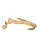 ProRep Java Reptile Branch Small - Buy Online on GoSupps.com