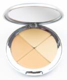 Christina Cosmetics Perfect Pigment Compact - Naked.25 | One Minute Makeup Miracle | Shop Now - Buy Online on GoSupps.com