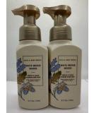 Buy Set of 2 White Orchid Woods Foaming Hand Soap - Gentle & Clean 8.75 Ounce - International Shipping Available - Buy Online on GoSupps.com