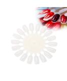 10 Parts Nail Display Stand Set - Versatile Nail Polish Holder for Stencils & Decoration - International Shipping - Buy Online on GoSupps.com
