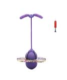 BoterLun Pogo Jumper with Handle | Pogo Ball Stick & Air Pump | Trick Balance Board for Kids 6+ and Adults | Purple - Buy Online on GoSupps.com