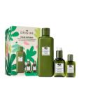 Origins Calm & Steady Mega-Mushroom Essentials | Soothe & Strengthen | International Shipping Available - Buy Online on GoSupps.com