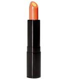 Vitamin C Lip Treatment - Buy Online on GoSupps.com