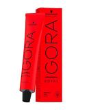 Schwarzkopf Igora Royal 8-77 Light Blonde Copper Extra Hair Colour 60ml Tube - Igora Royal Copper - 2.02 Fl Oz - Pack of 1 - Buy Online on GoSupps.com