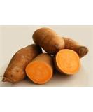 Fresh Sweet Potatoes - Organic Produce - Sold per Pound - Buy Online on GoSupps.com