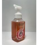 Shop White Barn Bath & Body Works Sprinkled Donut Foaming Hand Soap 8.75oz - Some Bunny Loves You Easter Edition | International Shipping Available - Buy Online on GoSupps.com